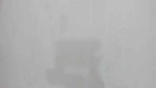 scarlett646 online show from November 26, 2025, 3:06 am