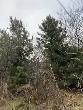 Snapshot of desiredude9 chatting on November 2, 2025, 9:58 am desiredude9 online show from November 2, 2025, 9:58 am