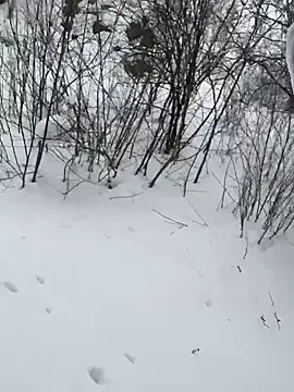 Snapshot of desiredude9 chatting on January 6, 2026, 8:18 am desiredude9 online show from January 6, 2026, 8:18 am