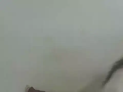 Vaani Singha online show from March 12, 2026, 4:44 pm