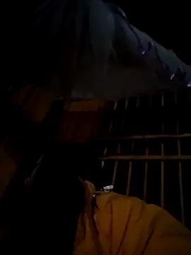 Snapshot of miss-su chatting on December 1, 2025, 5:25 pm miss-su online show from December 1, 2025, 5:25 pm