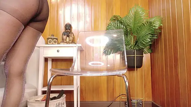 Zafiro Gem  online show from February 3, 2026, 8:03 pm