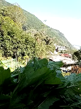 Maymay0033 online show from November 29, 2025, 5:07 am