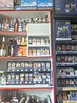 Snapshot of Fluturas2 chatting on October 11, 2025, 12:17 pm Fluturas2 online show from October 11, 2025, 12:17 pm