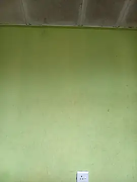 phumlanisanka online show from November 6, 2025, 6:28 am