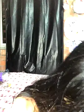 samm 2006 online show from October 30, 2025, 1:04 am