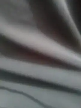 PunjabiSardarBull online show from February 9, 2026, 5:16 am