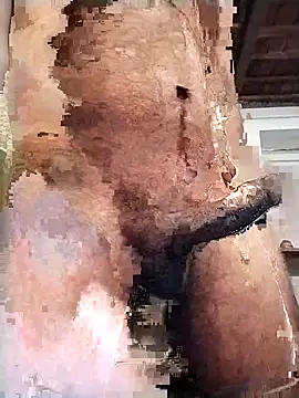 PunjabiSardarBull online show from February 14, 2026, 3:01 pm