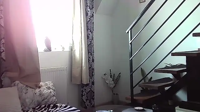 Snapshot of RyanStorm_ chatting on September 12, 2025, 10:37 am RyanStorm online show from September 12, 2025, 10:37 am