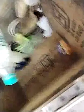 avi007p online show from March 11, 2026, 12:21 pm