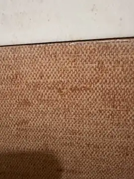 Snapshot of LVarjun chatting on November 14, 2025, 5:44 am LVarjun online show from November 14, 2025, 5:44 am