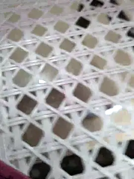 Snapshot of Alexa9k7 chatting on December 2, 2025, 7:15 pm Alexa9k7 online show from December 2, 2025, 7:15 pm