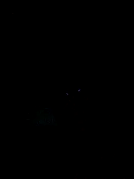 nataliacd online show from December 16, 2025, 6:17 am