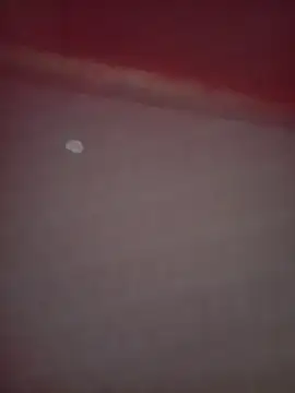 Ravena2290 online show from November 16, 2025, 3:44 am