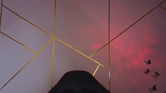 Hollyxx  online show from November 13, 2025, 2:04 am