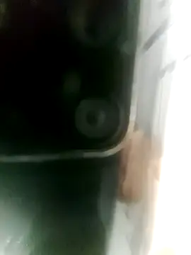 mia mancinii online show from November 20, 2025, 3:18 am