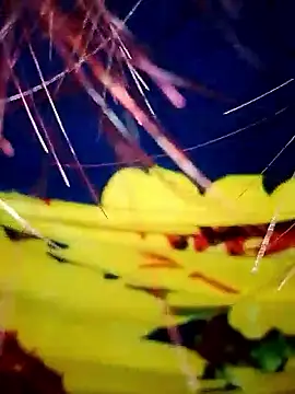 DarkLoverVI online show from December 19, 2025, 2:48 am