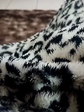 Snapshot of Gauderio40 chatting on November 21, 2025, 4:11 am Gauderio40 online show from November 21, 2025, 4:11 am