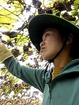 ngan-cute online show from January 11, 2026, 4:08 am