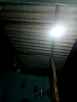 Hot-honi online show from January 15, 2026, 12:14 am