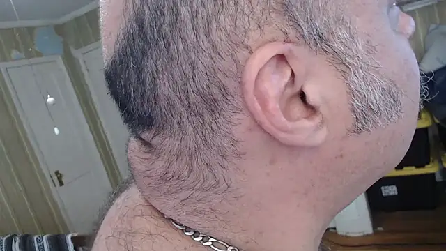 Snapshot of bullmusclejoe chatting on November 14, 2025, 6:11 pm bullmusclejoe online show from November 14, 2025, 6:11 pm