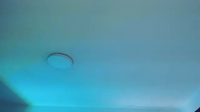  Charlotte Collins  online show from April 10, 2026, 2:24 pm