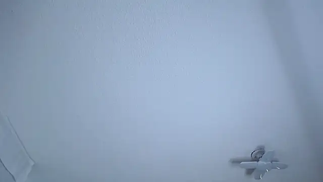  Charlotte Collins  online show from April 20, 2026, 2:51 pm