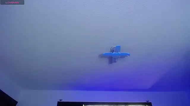  Charlotte Collins  online show from February 17, 2026, 2:36 pm