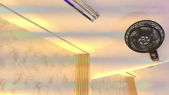 Liss-Reyes online show from March 5, 2026, 12:13 pm