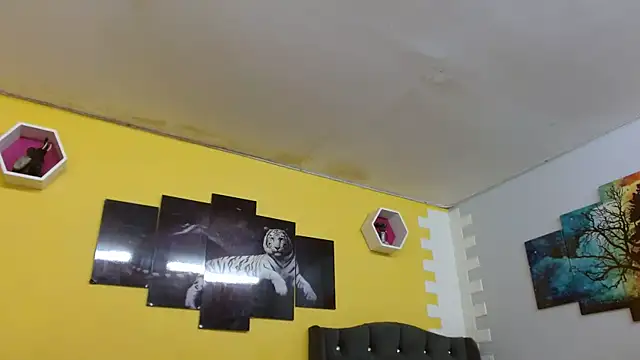 bull cam online show from October 21, 2025, 5:01 pm