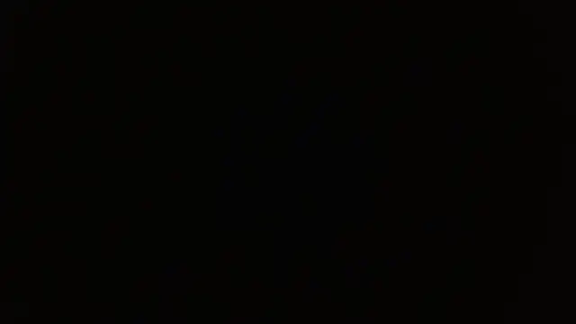 AuroraHans1 online show from November 13, 2025, 11:19 pm