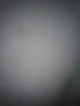 Snapshot of Perropa chatting on March 27, 2026, 3:37 am Perropa online show from March 27, 2026, 3:37 am