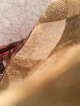 Snapshot of Payal950 chatting on February 7, 2026, 7:49 am Payal950 online show from February 7, 2026, 7:49 am