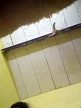 Seema guptaji online show from November 15, 2025, 9:19 pm