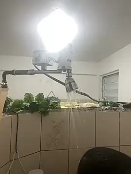 YadielPublic online show from April 10, 2026, 12:50 am