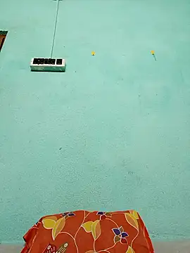 ShinuRoy online show from November 24, 2025, 10:54 pm