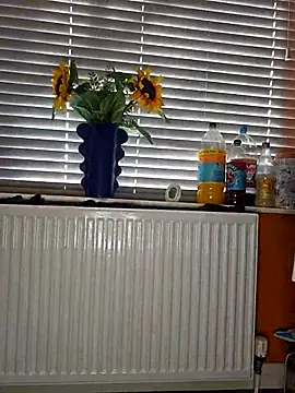 Filthymaddymilfy25 online show from December 3, 2025, 11:09 am