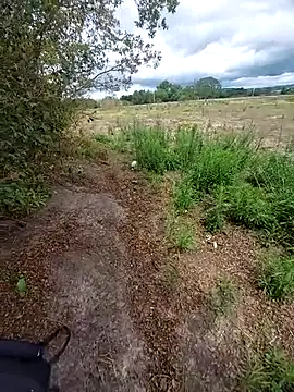 magraocam online show from November 6, 2025, 4:11 pm