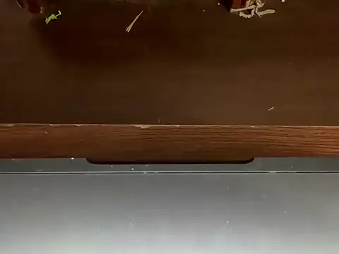 LustyDuoSecrets online show from April 21, 2026, 4:46 pm