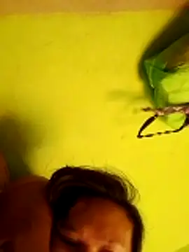 pussywet 08 online show from May 31, 2026, 11:16 pm