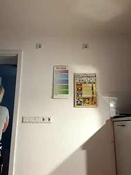 Snapshot of Rozendefotz chatting on October 15, 2025, 6:11 am Rozendefotz online show from October 15, 2025, 6:11 am