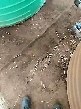 BigboyDick2 online show from October 20, 2025, 12:38 pm