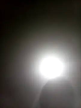 Bebicho14 online show from April 5, 2026, 4:41 am