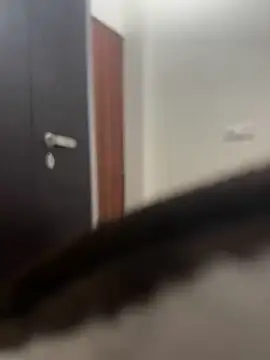 DJLOVE280825 online show from February 9, 2026, 7:50 am