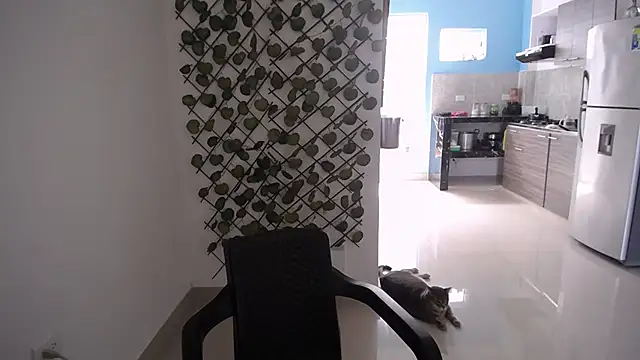 yohacriss online show from December 15, 2025, 4:46 pm