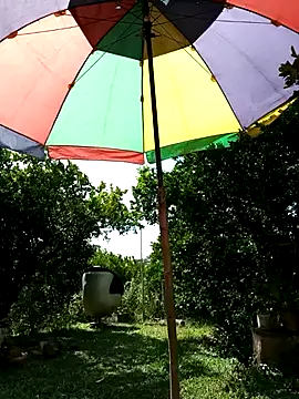 AlphaAlterX online show from February 17, 2026, 7:22 pm