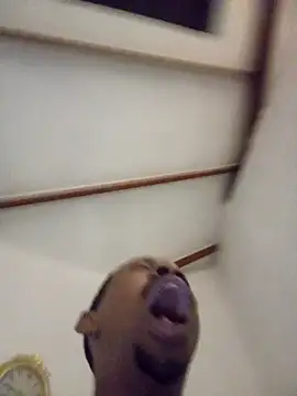 fitsexyman online show from January 11, 2026, 8:49 pm