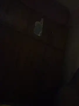 Kajal-Shemale69 online show from December 19, 2025, 1:09 am