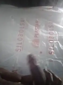 Kaygsy online show from January 7, 2026, 8:03 pm