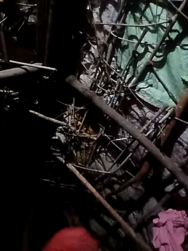 Snapshot of Sapna_cutt chatting on October 23, 2025, 4:38 pm Sapna cutt online show from October 23, 2025, 4:38 pm